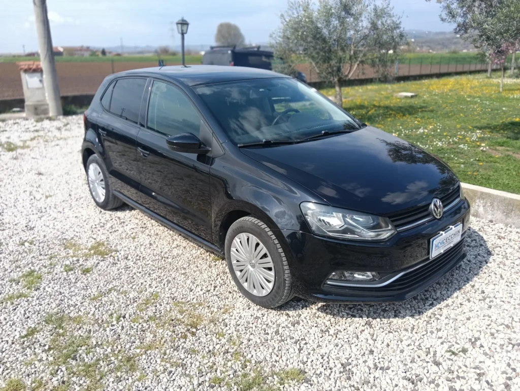 Volkswagen Polo usato MCMcecchinauto
