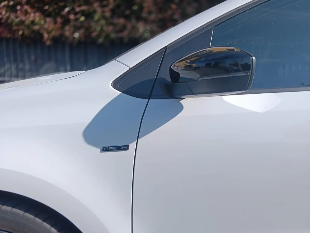 Volkswagen Polo usato MCMcecchinauto