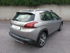 Peugeot 2008 usato MCMcecchinauto