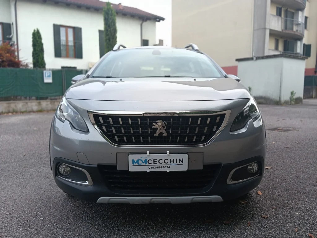 Peugeot 2008 usato MCMcecchinauto