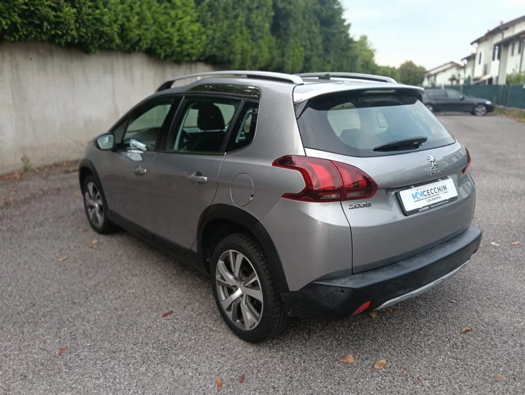 Peugeot 2008 usato MCMcecchinauto