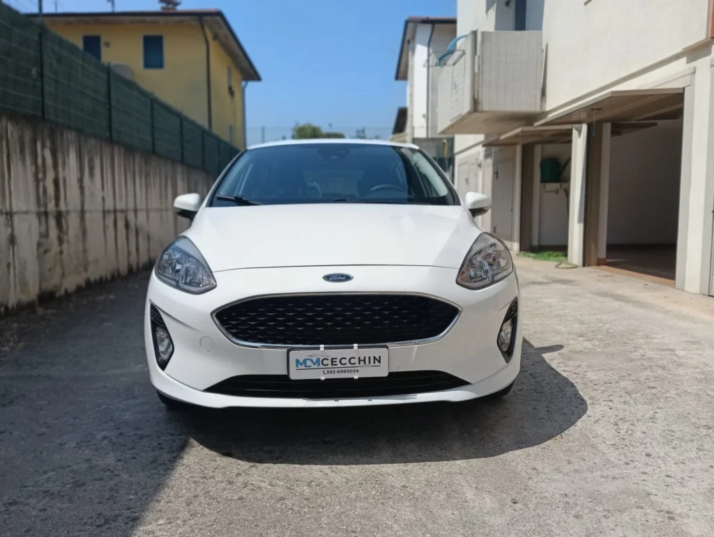 Ford Fiesta usato MCMcecchinauto