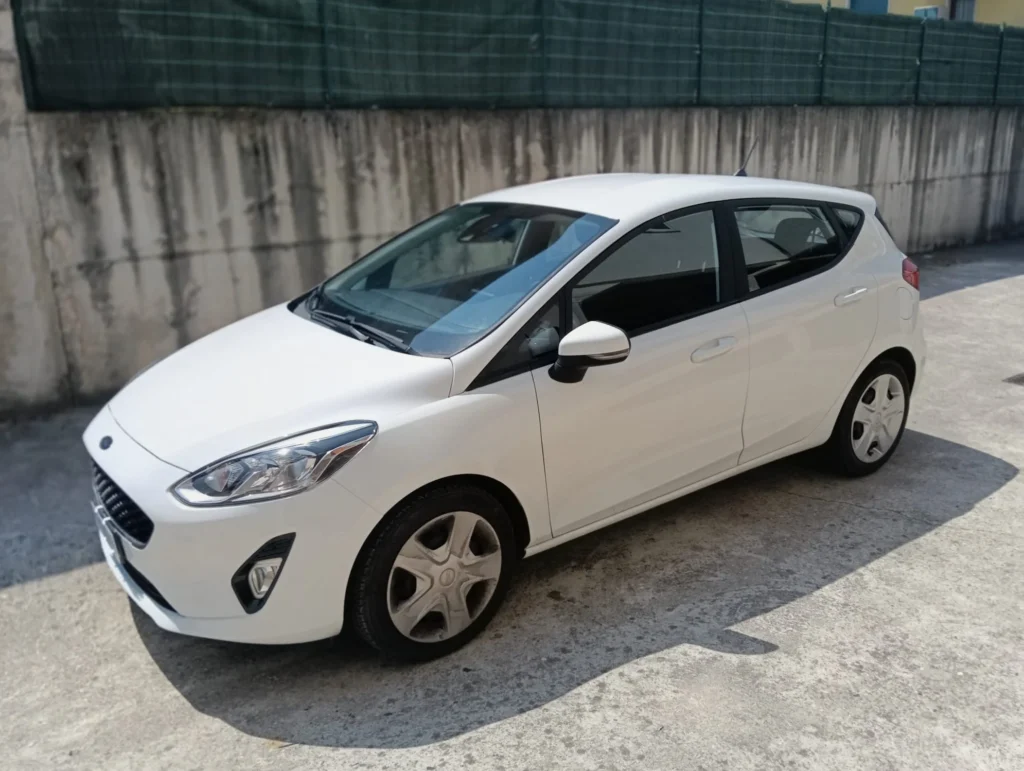 Ford Fiesta usato MCMcecchinauto