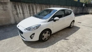 Ford Fiesta usato MCMcecchinauto