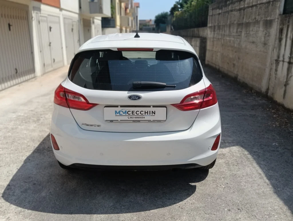 Ford Fiesta usato MCMcecchinauto
