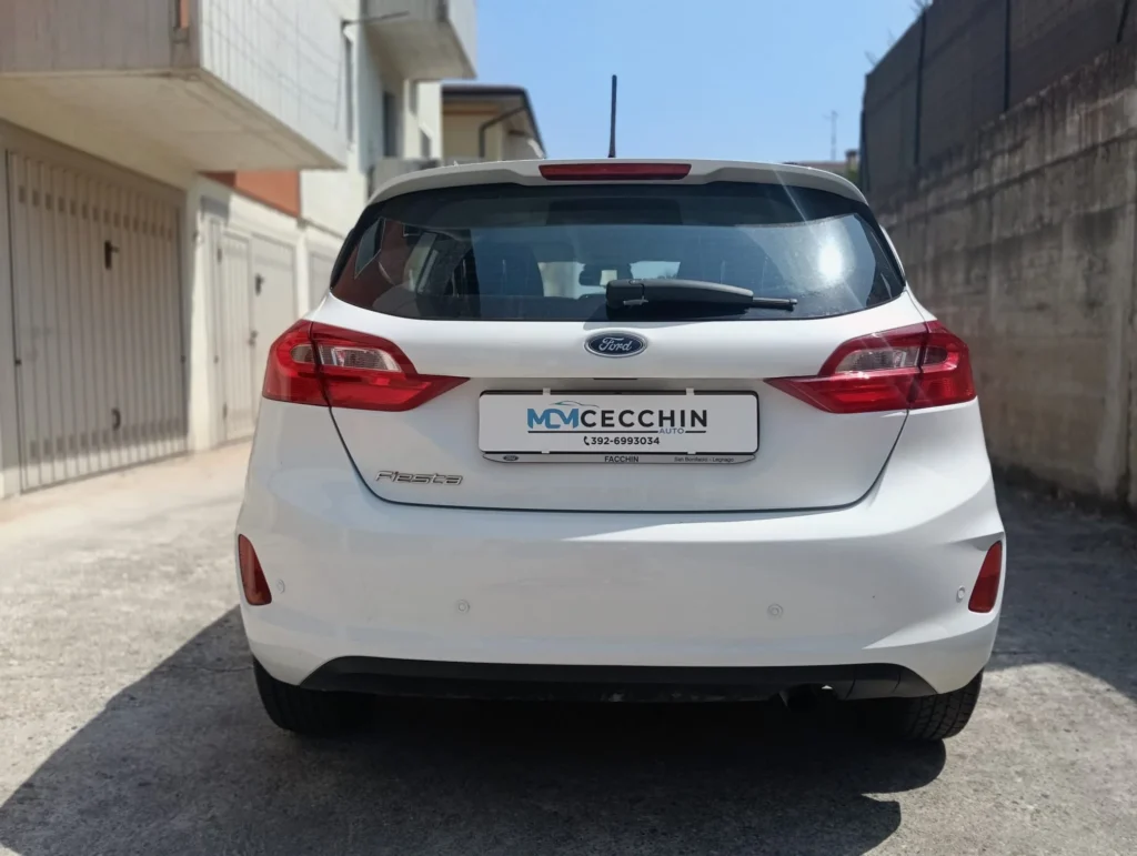 Ford Fiesta usato MCMcecchinauto