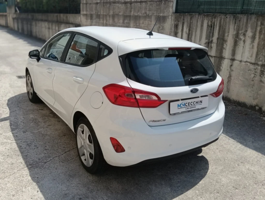 Ford Fiesta usato MCMcecchinauto