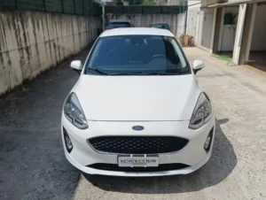 Ford Fiesta usato MCMcecchinauto