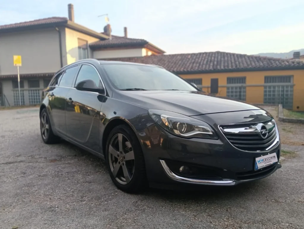 Opel Insignia Sports Tourer SW usato MCMcecchinauto