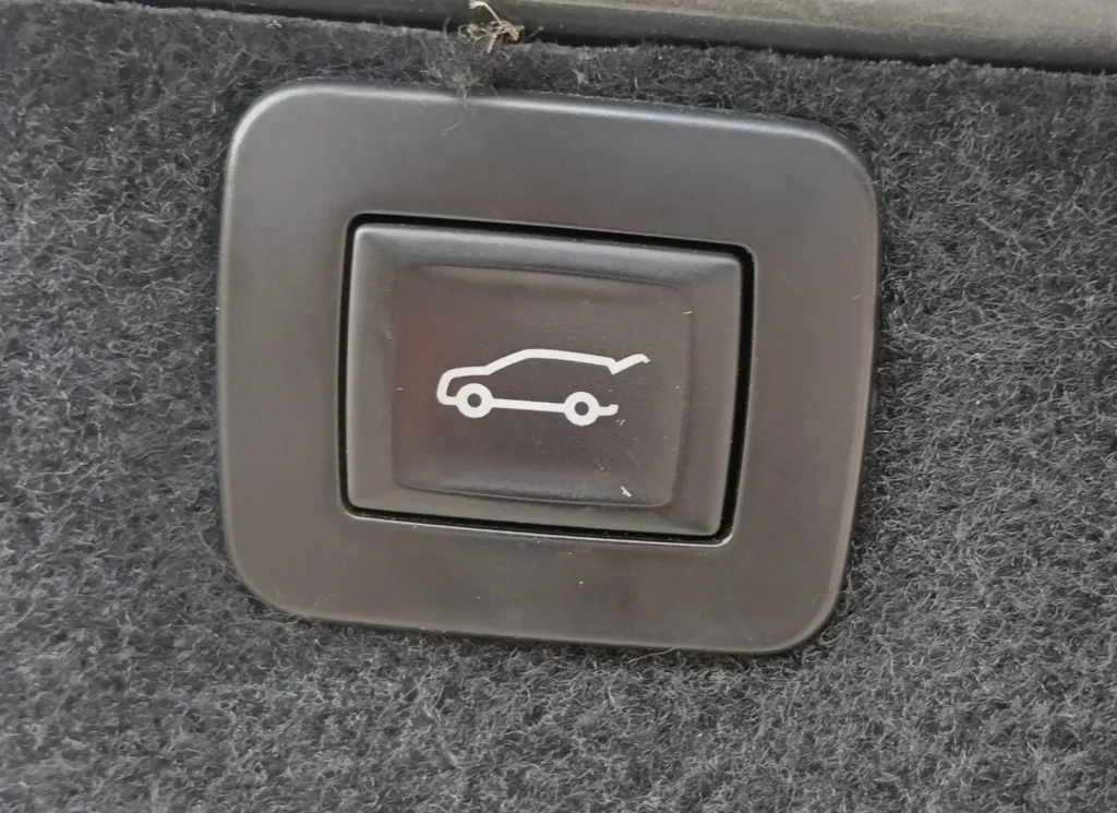 Opel Insignia Sports Tourer SW usato MCMcecchinauto